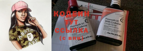 прущий лед Арсеньев